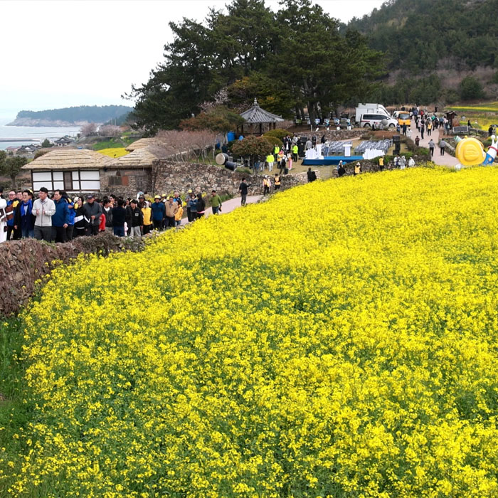 썸네일 5